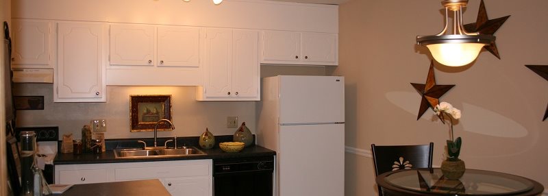 Asheville homepagegallery 3